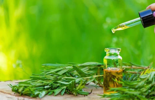Fungal Acne Treatment: Unlocking the Secrets to Radiant Skin Averr Aglow