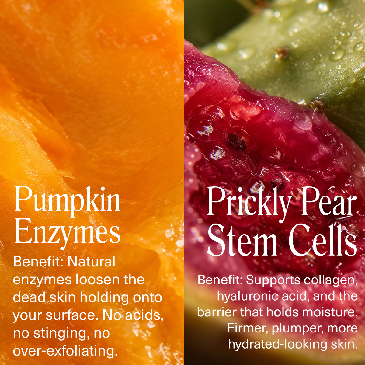 Pumpkin Enzyme Mask