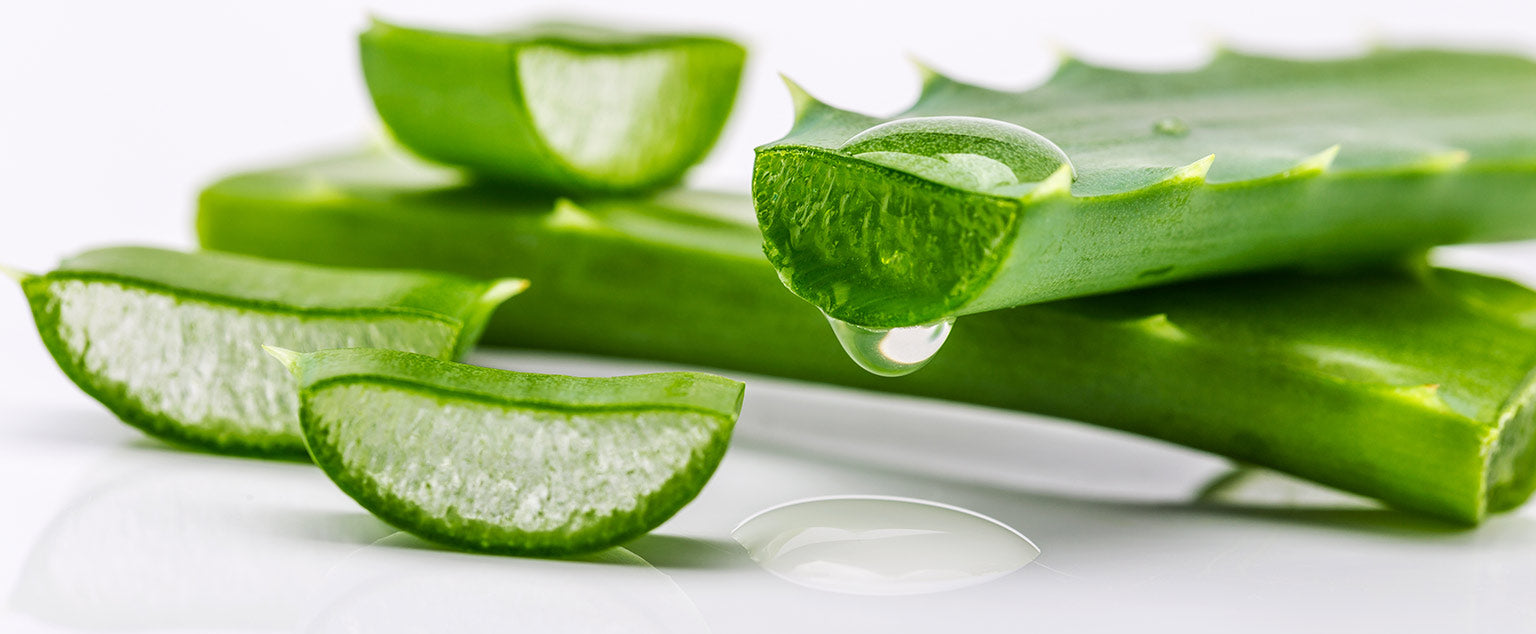 Aloe Leaf Juice and How It Helps with Acne Averr Aglow