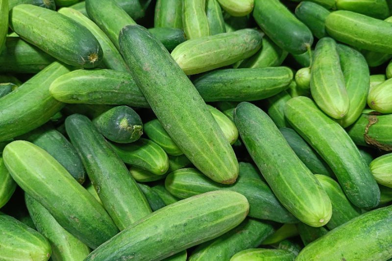 Cucumber and How It Helps Acne Averr Aglow