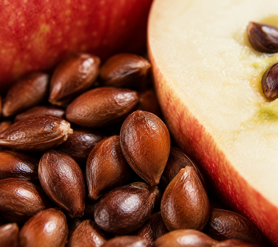 Apple Seed