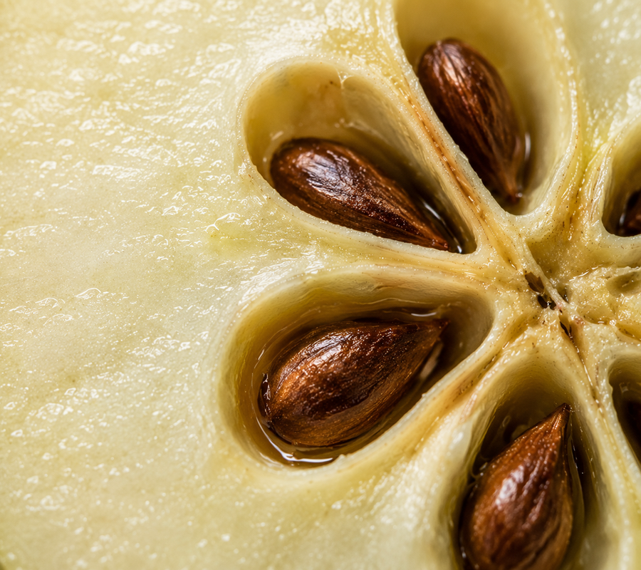 Apple Seed