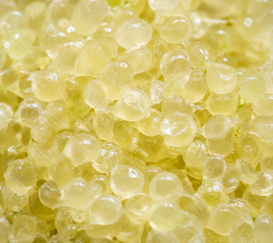 Finger Lime Caviar
