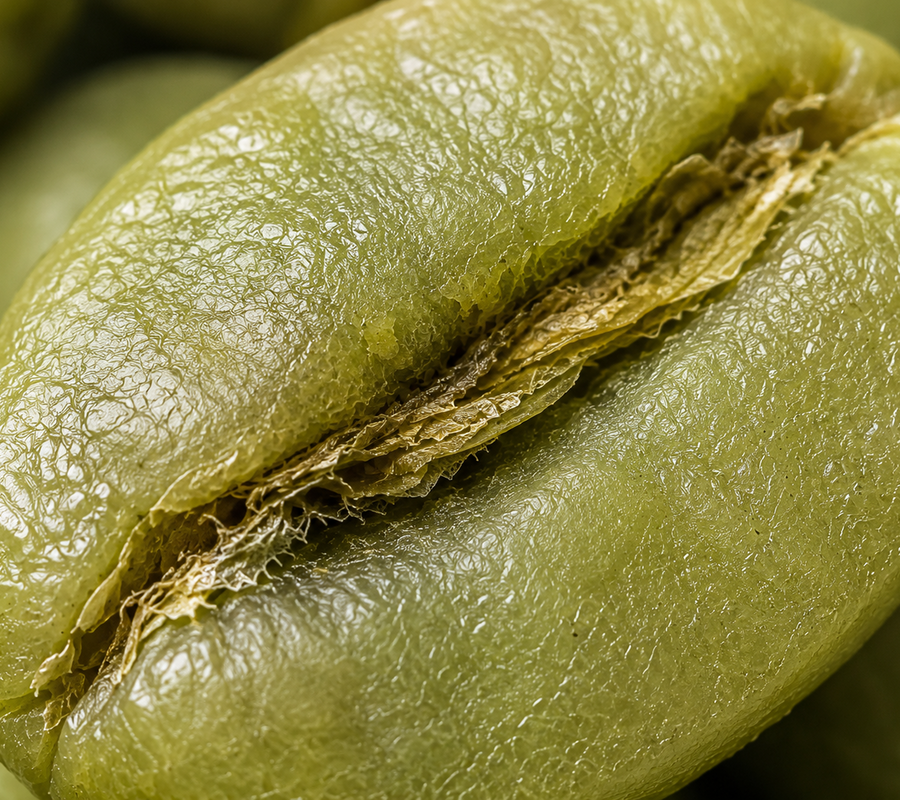 Green Coffee Seed