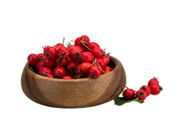 Hawthorn Fruit Extract
