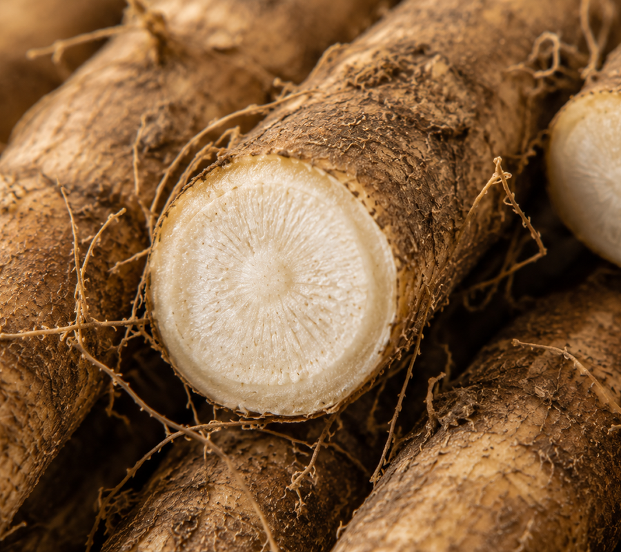 Polymnia Sonchifolia Root