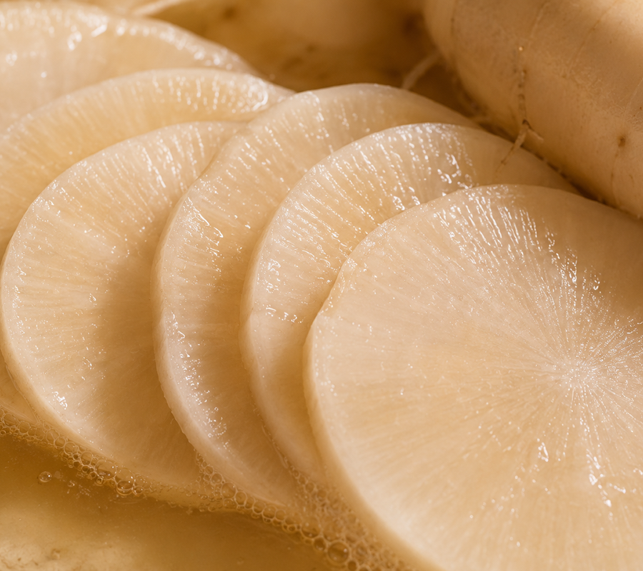 Radish Root Ferment