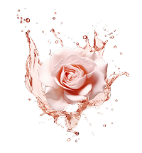 Rose Flower Distillate