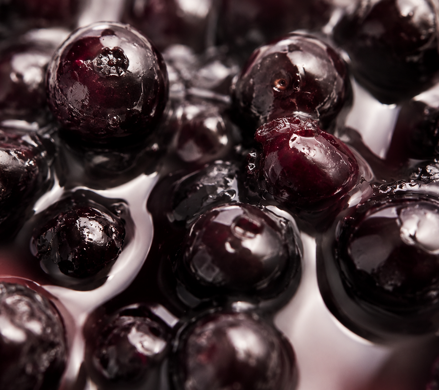 Sambucus Nigra Elderberry Fruit Extract