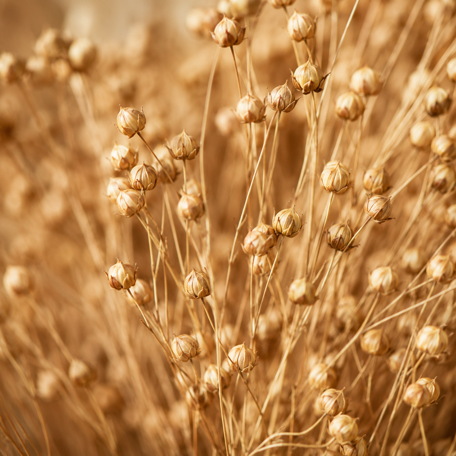 Flaxseed