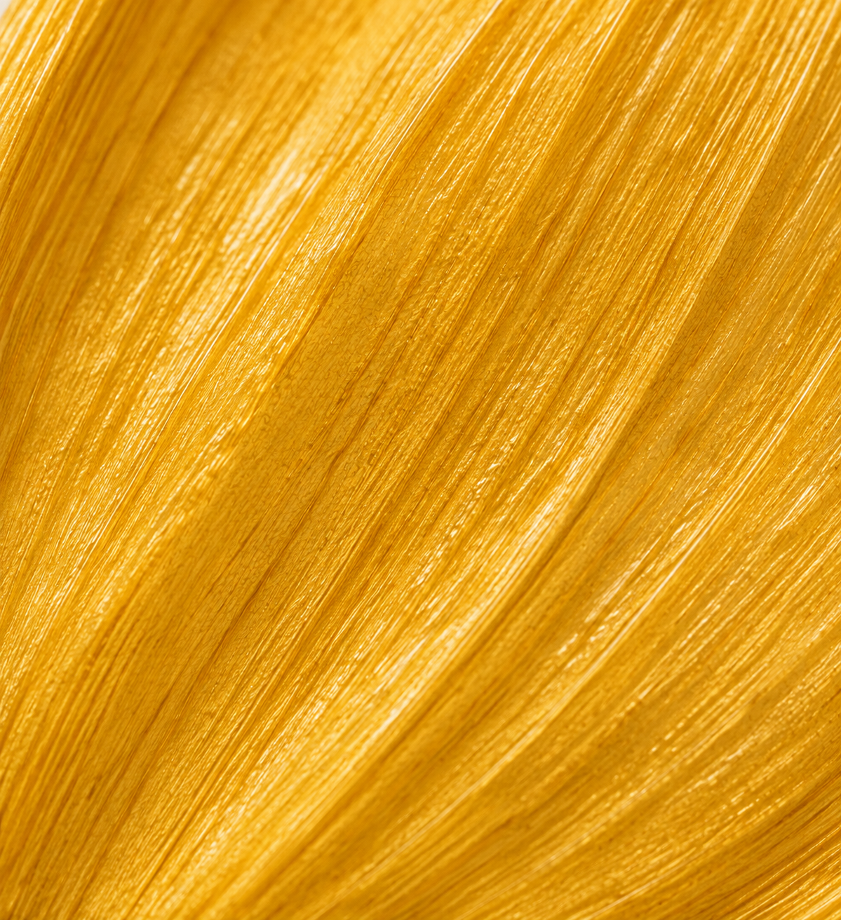 Calendula
