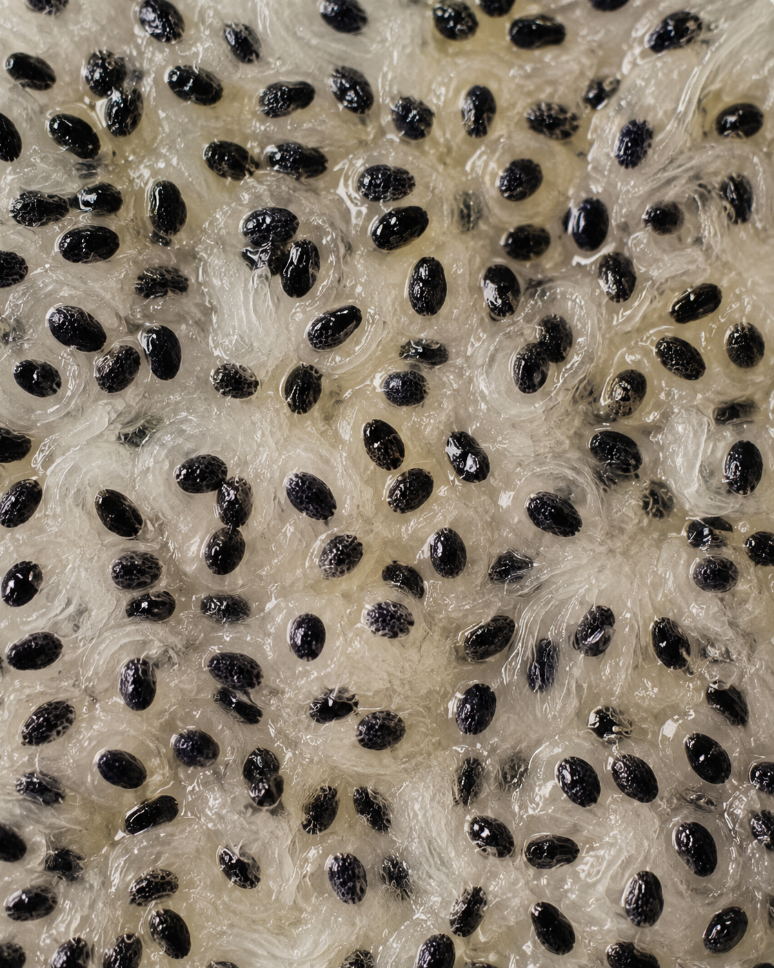 Dragon Fruit Seed Oil
