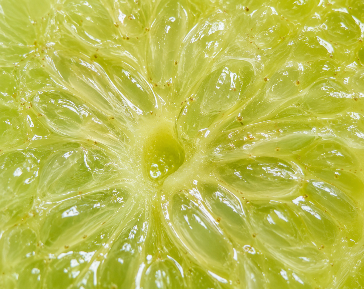 Kakadu Plum