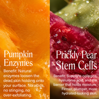 Pumpkin Enzyme Mask